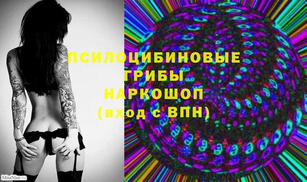 марки nbome Белокуриха