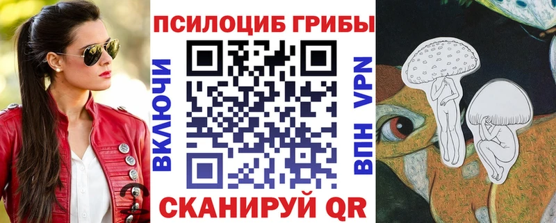 блэк спрут зеркало  Красноуральск  Псилоцибиновые грибы мицелий 
